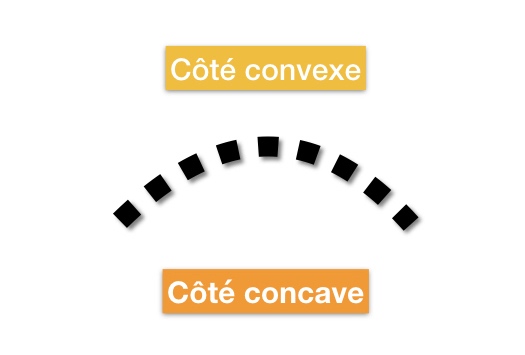 Explication différence concave convexe