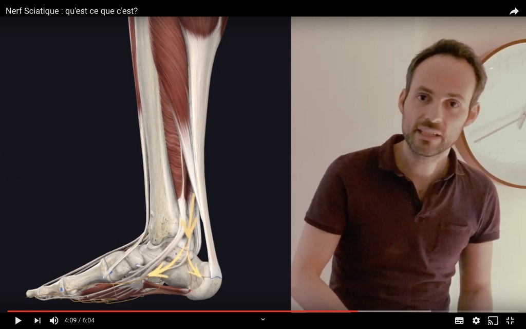 Trajet du nerf tibial dans le pied