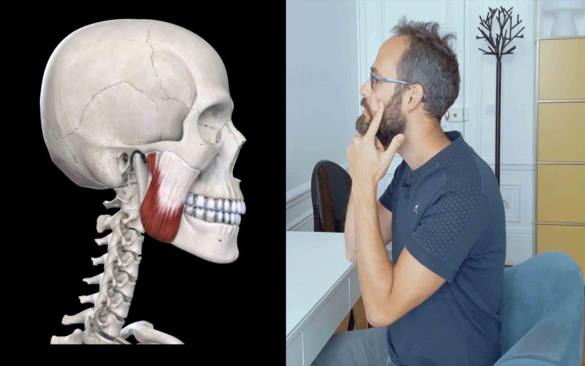 Comment masser la mâchoire ? 1ère partie Dos et Posture