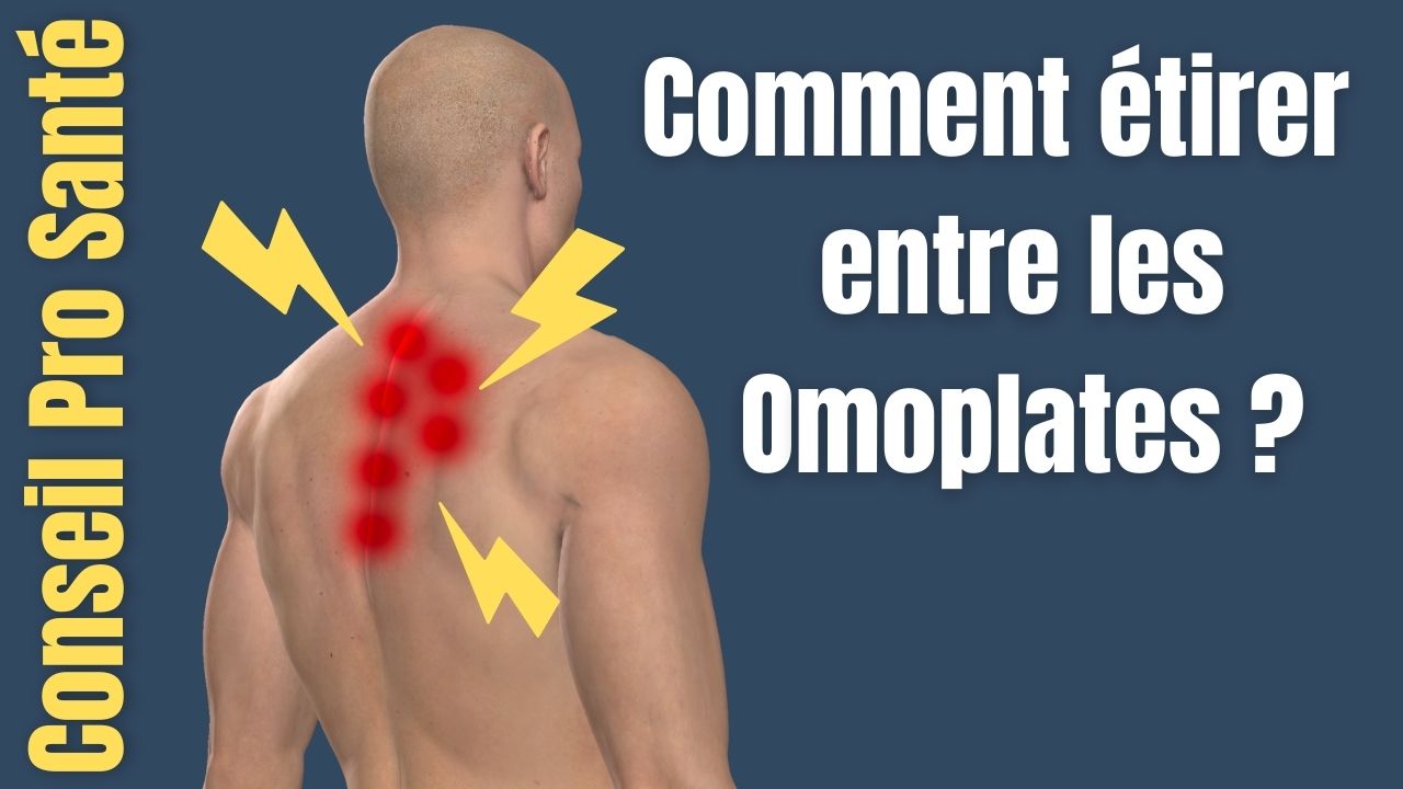 Comment étirer les muscles entres les omoplates ? - Dos et Posture