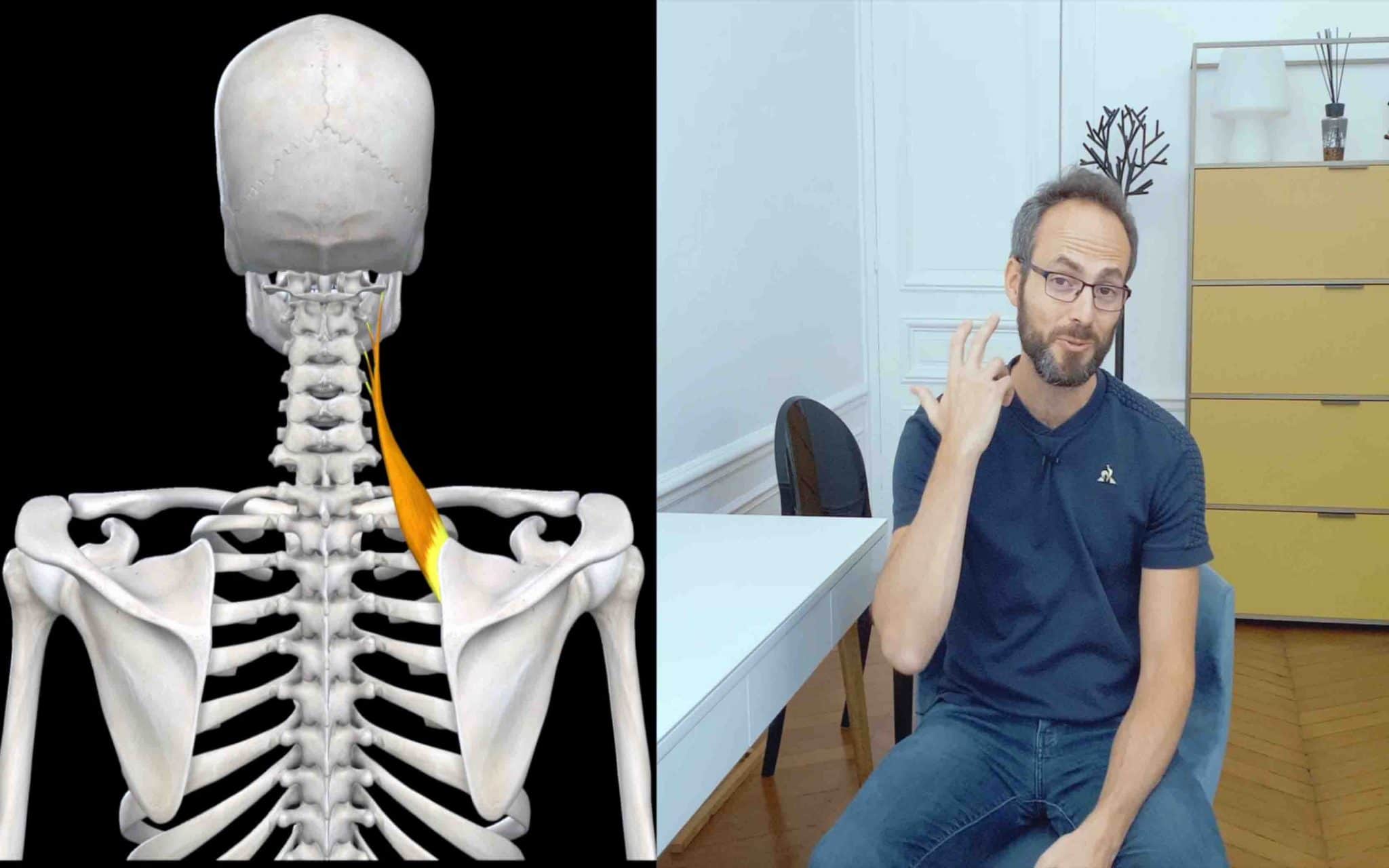 Comment soulager la douleur du cou et de l'omoplate ? Dos et Posture — free download