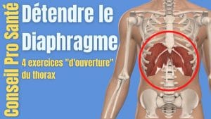 Détendre le muscle Diaphragme et Ouvrir le Thorax : 4 exercices – Dos et Posture