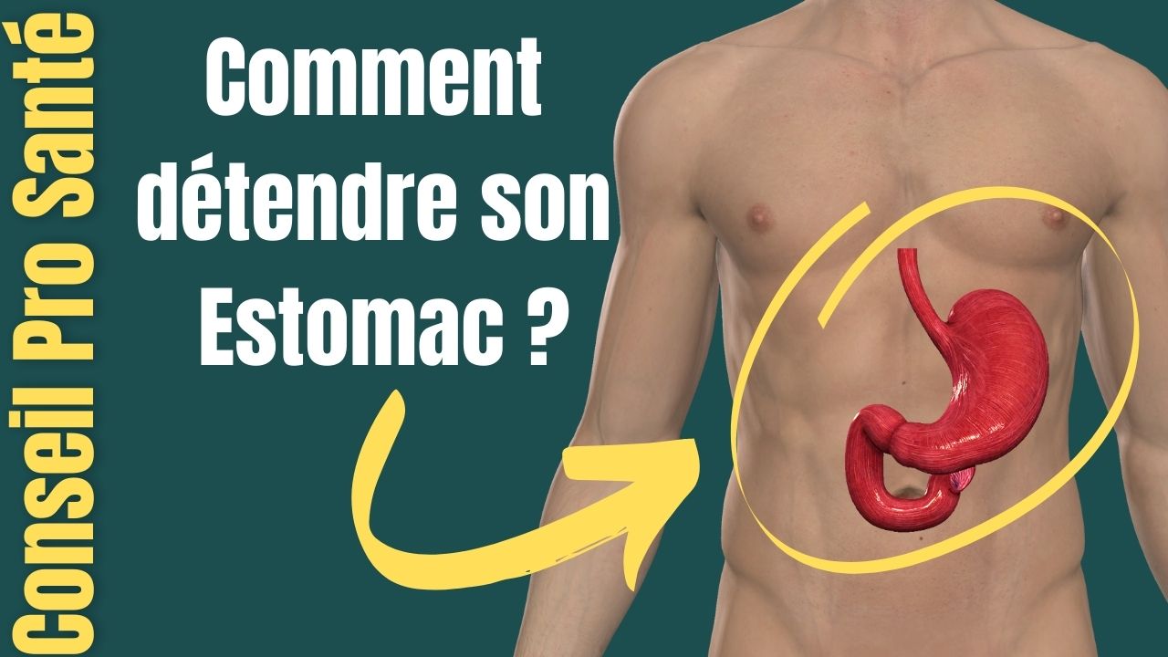 Comment Faire Pour Avoir Moins D'estomac