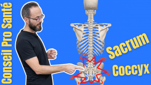 Sacrum Coccyx : 5 Exercices Anti Douleur à faire chez soi
