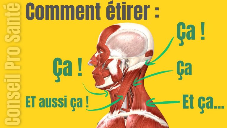 Douleur Cou – Comment Étirer les muscles du COU ?  7 Etirements à faire chez soi